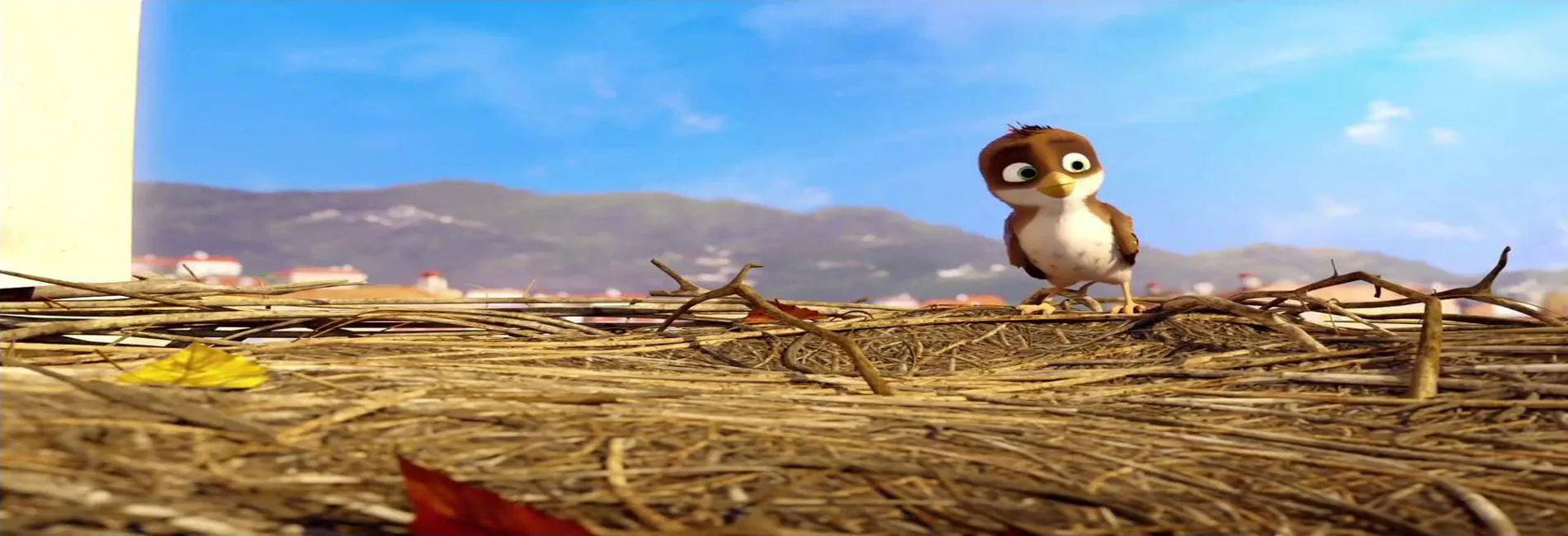 سفر لک لک ها- کارتونت