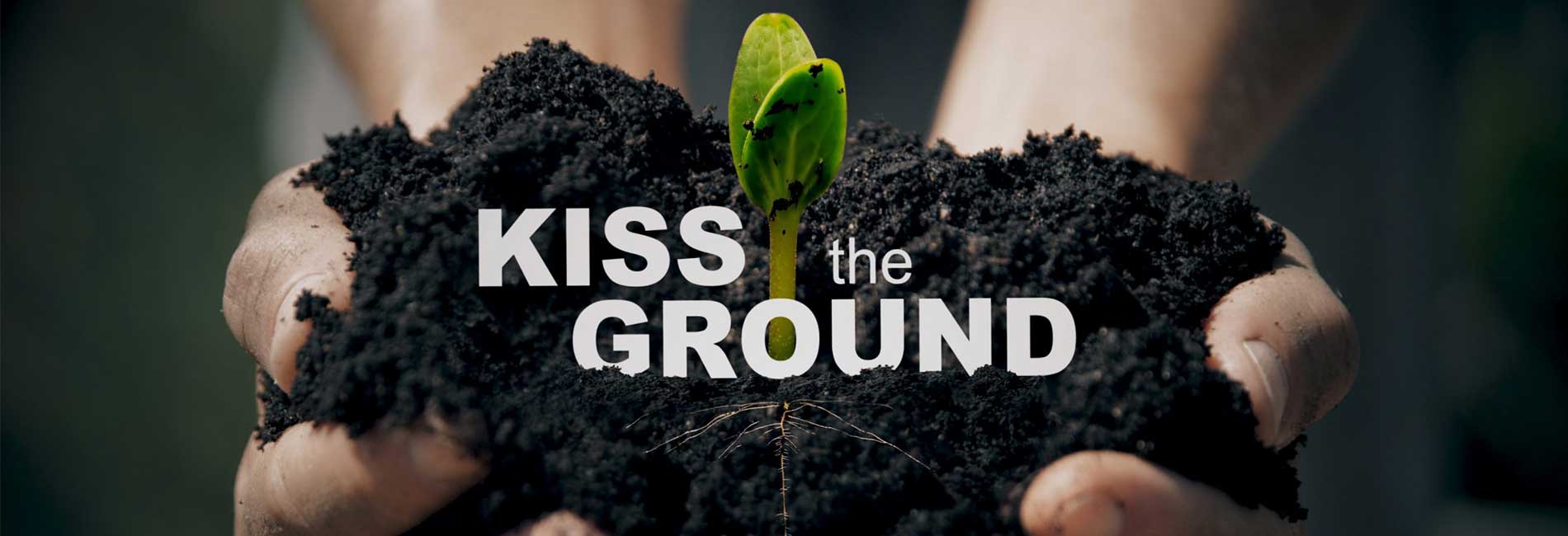 Kiss The Ground- آریانا
