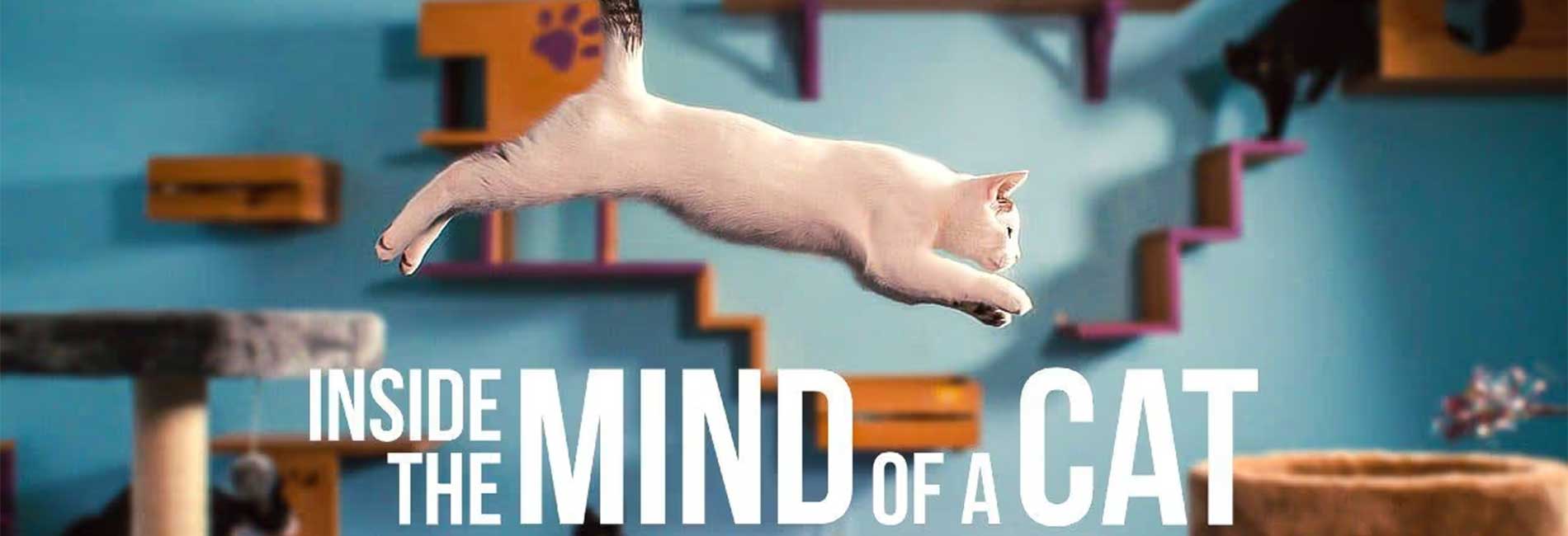 Inside the Mind of a Cat- آریانا