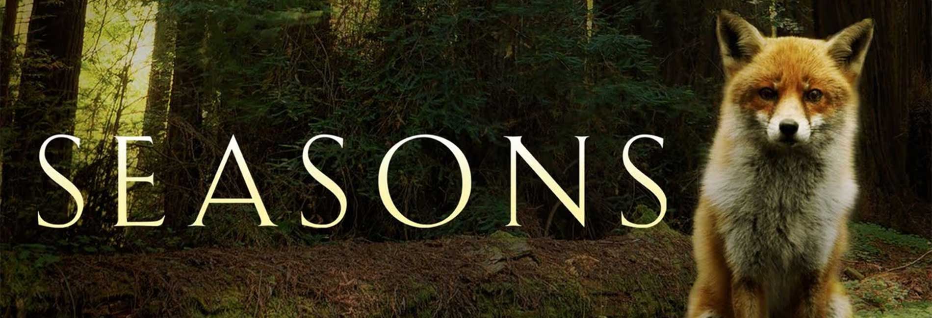 Seasons- آریانا