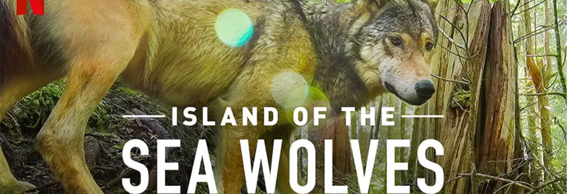 Island of the Sea Wolves- آریانا