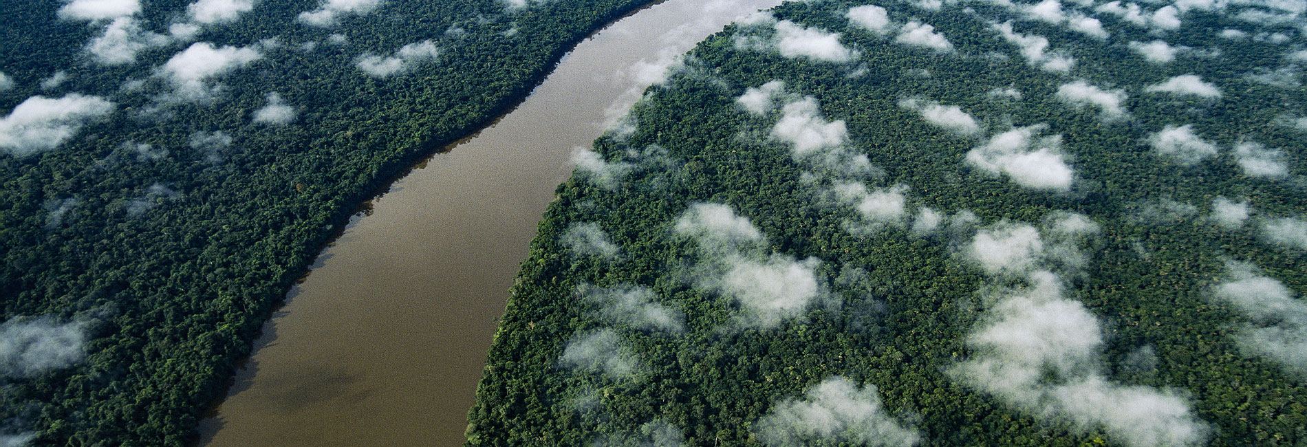 River- آریانا