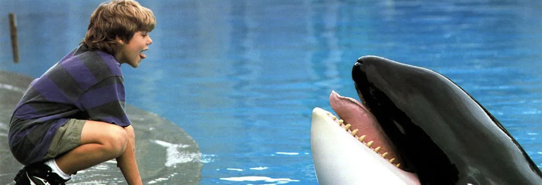 Free Willy- آریانا
