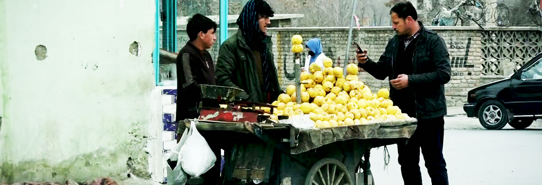 کمره مخفی: در جستجوی دزد ترکاری- آریانا