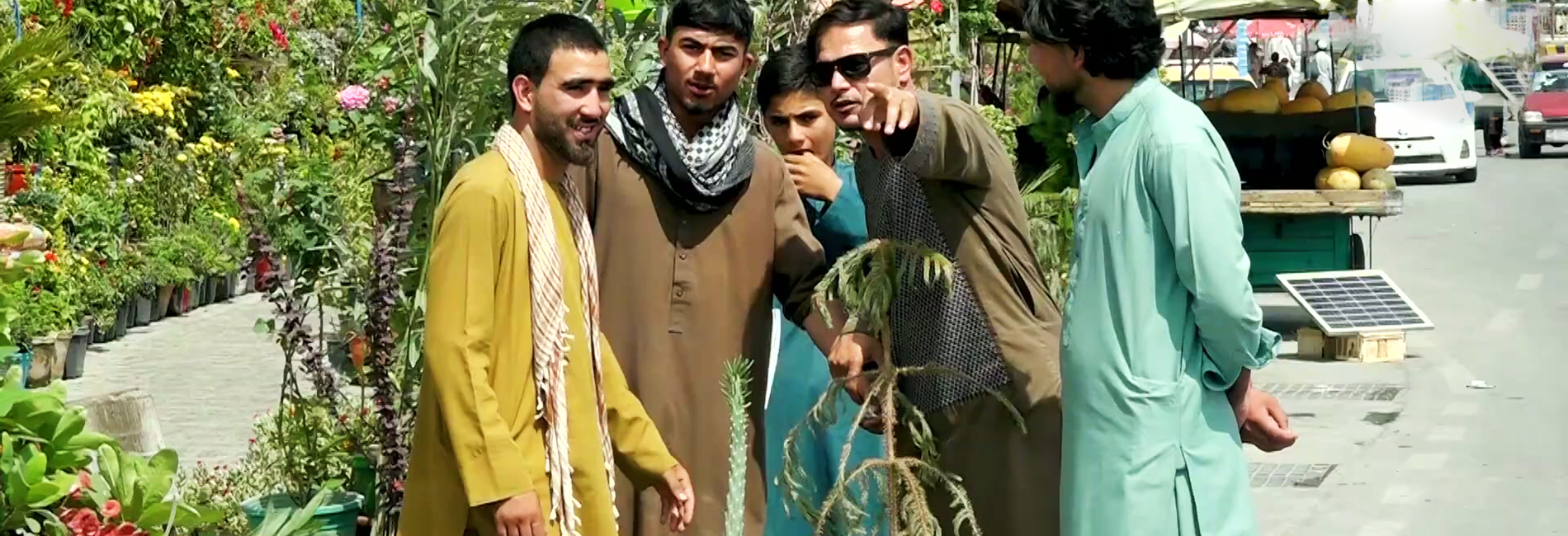 کمره مخفی: گل خشکه ده جانم زدی- آریانا